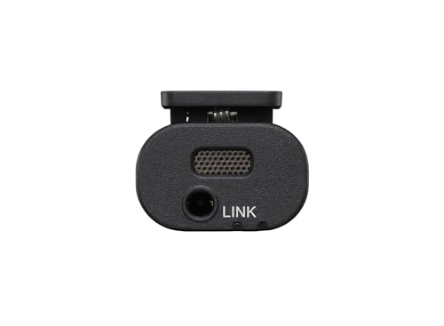 Sony Dual-Channel Wireless Microphone ECM-W3
