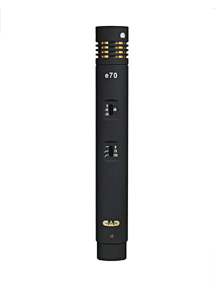 CAD Audio E70 Small Diaphragm Cardiod Condenser Microphone Includes Cardiod & Omni Capsules
