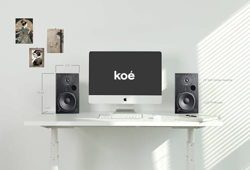 Audio Express Koe’ B102 – 100 Watt Home Theater, Passive Bookshelf Speakers (Pair) Hi-Res Audio, Excellent Response, HiFi, Satellites, Includes SPL/Freq Graph, Wall-Mountable, Black