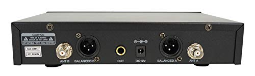 Rockville RWM81U Dual UHF Headset & Guitar Wireless Microphone System, LCD | XLR and 1/4in Output, Two Channel, Cardioid, 300-400ft Range, 10 Hour Battery, Metal Housing, Auto Sync, Volume Controls