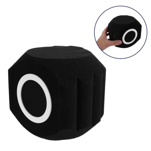 Black Ball Studio Mic Shield for Podcast Voiceover Recording