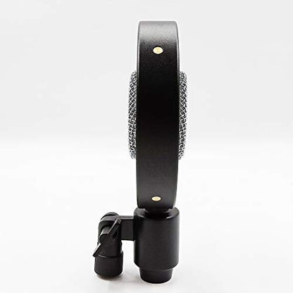 Antique Vintage Classic Cinema Theater Auditorium Speech Live Vocal 25mm Big Diaphragm Condenser Microphone
