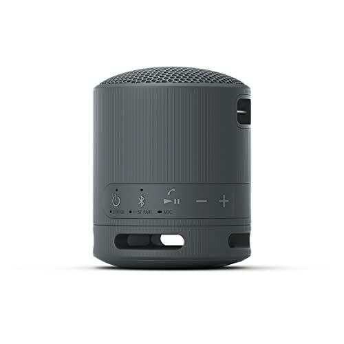 Sony SRS-XB100 Wireless Bluetooth Portable Lightweight Speaker, Black | 16 Hr Battery, Super-Compact Travel Speaker, IP67 Waterproof & Dustproof Shower Speaker, Versatile Strap, Hands-free Calling - color: Black