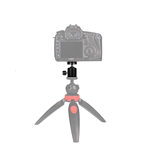Hot Shoe Mount Adapter 360 Degree Swivel Mini Ball head with 1/4 inch Screw for DSLR Camera, Monitor, Gopro，Camcorder, Flash Light, Tripod, Microphone (2 Pack)