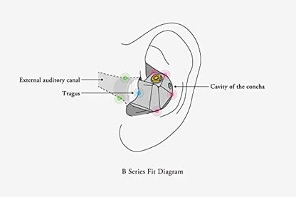 Final B1 Sound Isolating in-Ear Headphones Earphones with Dynamic and Balanced Armature Drivers