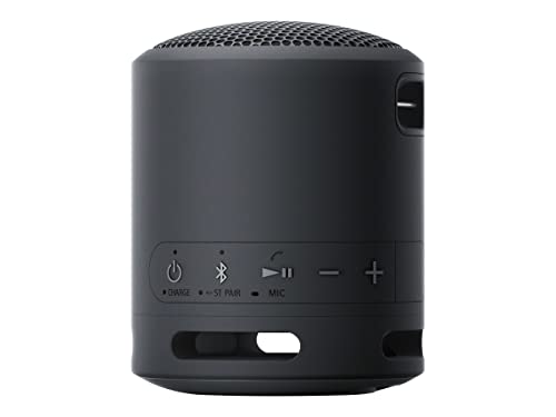 Sony - Compact & Portable Waterproof Wireless Bluetooth Speaker with Extra BASS - Black - color: black