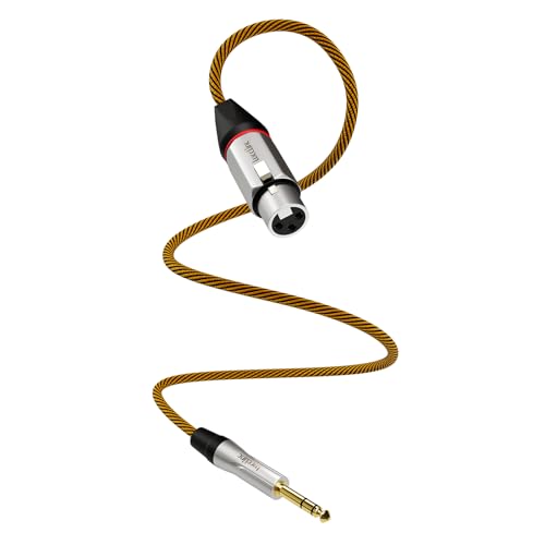 Balanced XLR to 1/4 Inch TRS Audio Cable, Pro Patch Cord for Studio Mixers & Monitors - XLR Female to 6.35mm, 3.3ft (1m) - size: 3.3 Feet, style: XLR Female to 6.35mm