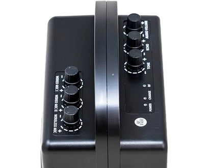 HISONIC HS120BT HL Portable PA System with Wireless Microphones and Lithium Rechargeable Battery and Car Cable Bluetooth Connected with Cell Phones and Pads Black