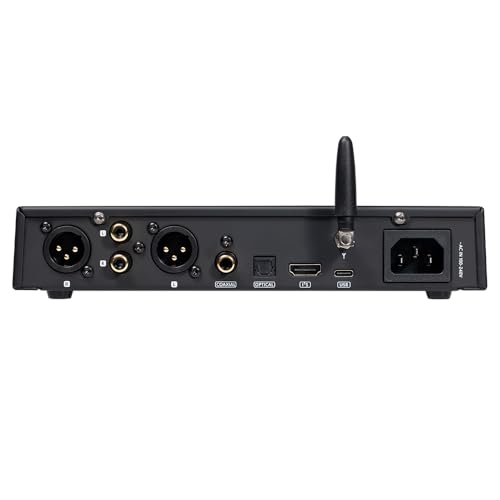 S.M.S.L DL300 Audio DAC with Headphone Amplifier, AK4499EX+AK4191EQ Chip, PCM 32bit/768kHz DSD Native DSD512 XMOS XU-316,USB/Optical/Coaxial/Bluetooth/I2S Input with Remote Control