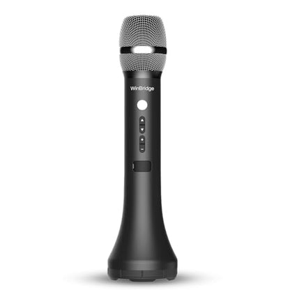Bluetooth Microphone Wireless Voice Amplifier With 3 Sound Effects H9