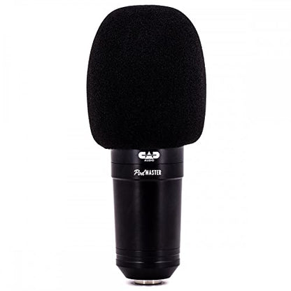 CAD Audio PM1200 Dynamic Broadcast Microphone with Boom Stand - style: Modern