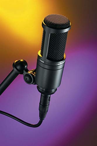 Audio-Technica AT2020 Studio Recording Microphone-Cardioid Condenser Mic Bundle with Rockville RDMS70 Desktop Mic Stand with Boom with Steel Round Base with Adjustable Height