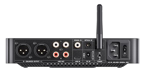 FiiO K13 R2R Desktop DAC & Headphone Amp, High-Fidelity 24Bit R2R DAC, Powerful 2400mW Output, LDAC Bluetooth Streaming, Dual Power Supply, 10-Band PEQ, Balanced XLR & RCA Audio Output (Black) - color: Black