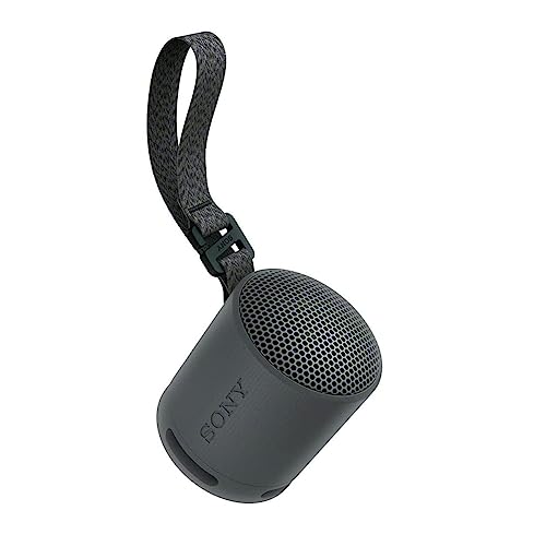 Sony SRS-XB100 Wireless Bluetooth Portable Travel Speaker Bundle (Black) | Travel case, Strap, (2 items) - color: Black