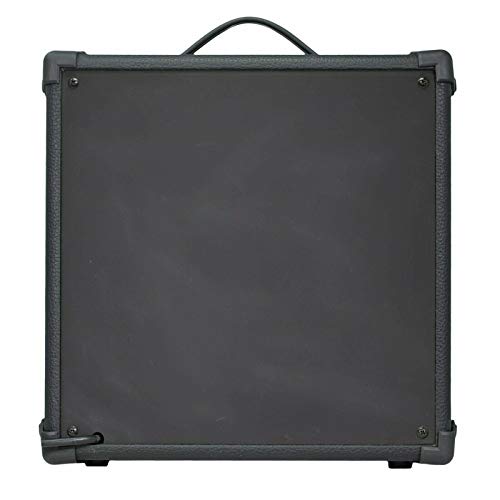 EMB 8" Pro Portable Guitar Amplifier Speaker with Built in 300W Amplifier with Gain, Bass, Tremble and Volume knobs 1/4" inputs for Aux, Input and Headphones
