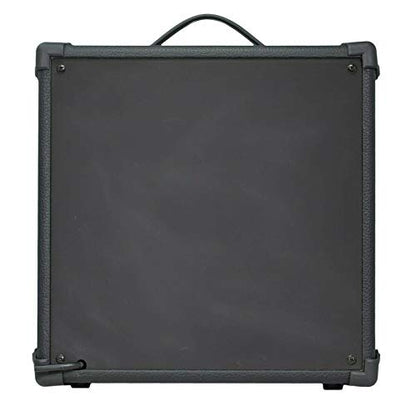 EMB 8" Pro Portable Guitar Amplifier Speaker with Built in 300W Amplifier with Gain, Bass, Tremble and Volume knobs 1/4" inputs for Aux, Input and Headphones
