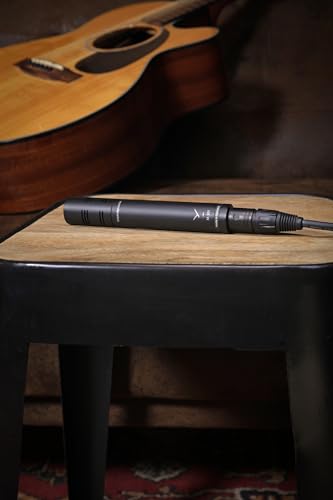 beyerdynamic M 201 Hypercardioid Dynamic Instrument Microphone