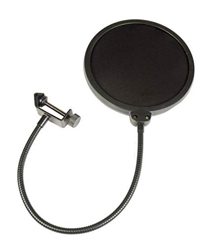 sE Electronics SE2200 Large-Diaphragm Condenser Microphone Bundle with Shockmount, Pop Screen Filter and 2 10ft XLR Cables