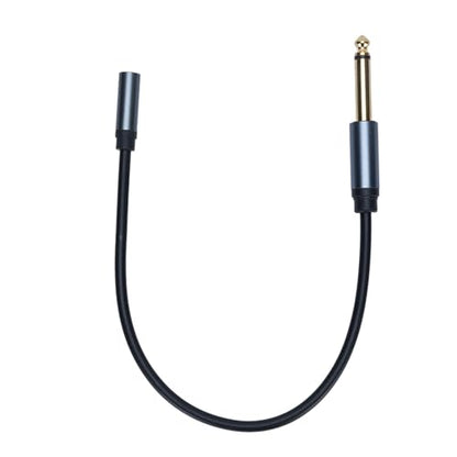 Diyeeni 6.35mm to 3.5mm Headphone Adapter, 1/4 Male to 1/8 Female Stereo Jack Cable, Gold Plated Copper Core 30cm PVC Extension Cord for Guitar, Piano, Amp, Headphones, Smartphone, Tablet