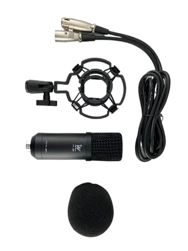 AMC300 Condenser Microphone Cardioid Studio Vocal Mic | Pure-Aluminum Diaphragm, Low Noise, High Sensitivity, Zinc-Alloy Body, Home Recording, Podcasting, Streaming, Singing