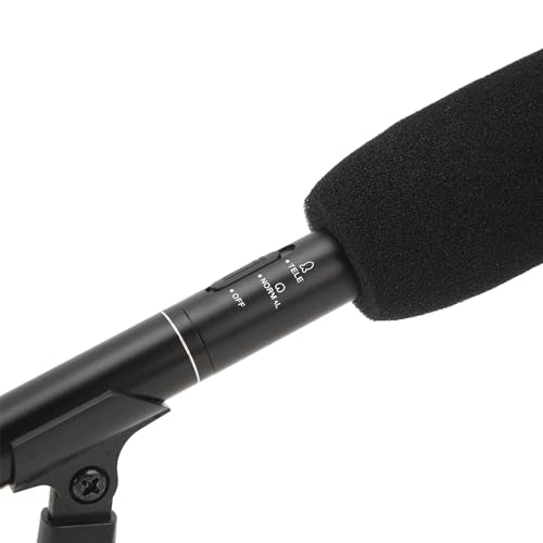 Microphone, Professional XLR Condenser Microphone with Dual Pickup Modes for DSLR Cameras