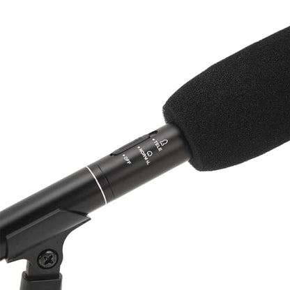 Microphone, Professional XLR Condenser Microphone with Dual Pickup Modes for DSLR Cameras