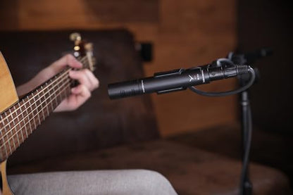 beyerdynamic M 201 Hypercardioid Dynamic Instrument Microphone