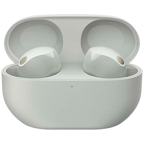 SONY WF-1000XM5 The Best Noise Cancelling True Wireless Earbuds, Silver | with Alexa built in - color: Silver