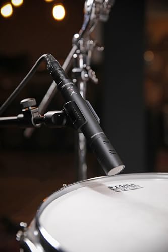 beyerdynamic M 201 Hypercardioid Dynamic Instrument Microphone