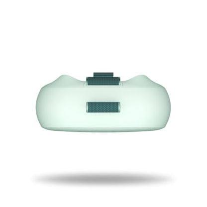Bose SoundLink Micro Portable Bluetooth Speaker (2nd Gen), Wireless Outdoor Speaker, Up to 12 Hours Battery Life, Waterproof and Dustproof, Dewdrop Mint - Limited Edition Color - color: Dewdrop Mint