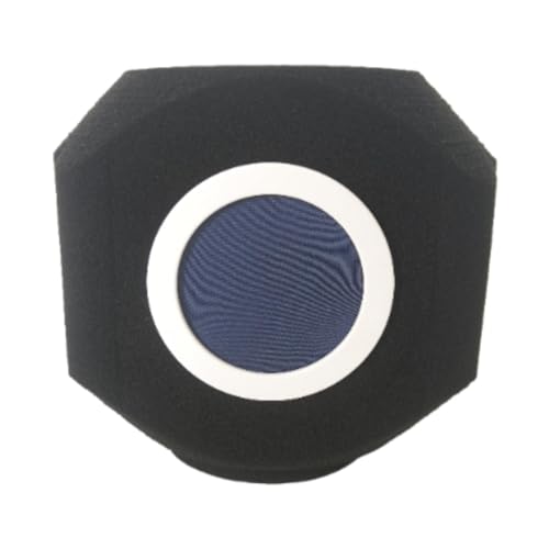 Wind Screen Acoustic Sound Absorbing Reflection for Vocal Booth, Blue