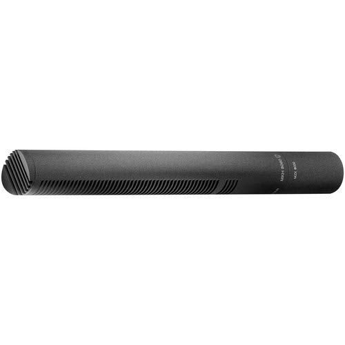 MKH8060 Short Shotgun Microphone