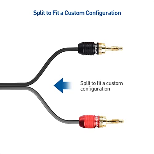 Cable Matters Heavy Duty 12 AWG Speaker Wire, 6ft, Black | Single OFC Speaker Cable with Banana Plugs - size: 6 Feet