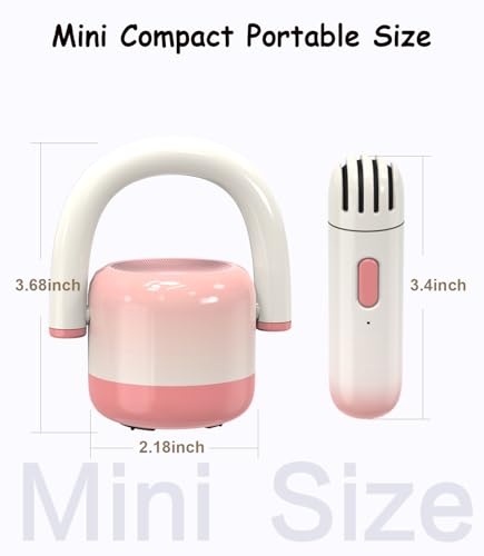 EWA Portable Mini Metal Karaoke Machine, Bluetooth Karaoke Speaker with 2 Wireless Microphones, Ideal Gifts for Girls Boys Family Home Party Birthday Christmas Toys Gifts-(Pink) - color: Pink