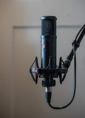 SE Electronics SE2200 Large Diaphragm Cardioid Condenser Microphone,Black