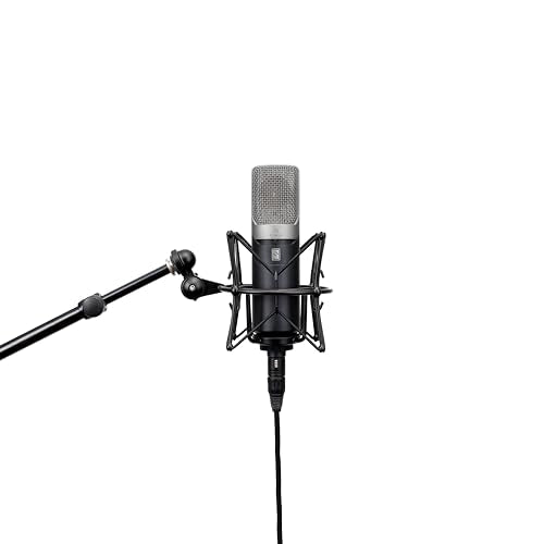Slate Digital ML-1A Large Diaphram Modeling Mic