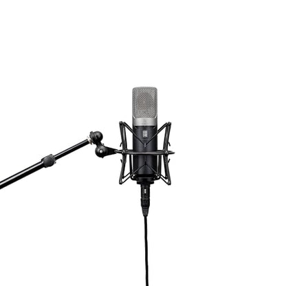 Slate Digital ML-1A Large Diaphram Modeling Mic