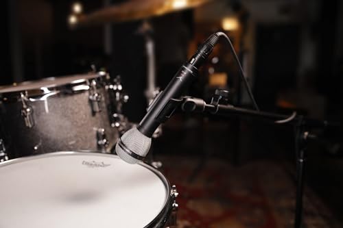 Beyerdynamic M 88 Dynamic Microphone - Hypercardioid *New*