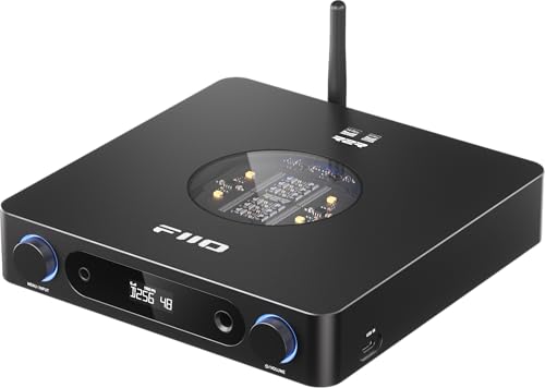 FiiO K13 R2R Desktop DAC & Headphone Amp, High-Fidelity 24Bit R2R DAC, Powerful 2400mW Output, LDAC Bluetooth Streaming, Dual Power Supply, 10-Band PEQ, Balanced XLR & RCA Audio Output (Black) - color: Black