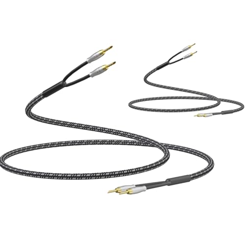 Preffair Speaker Cables 13AWG/2.5mm² HiFi Silver Plated Copper Wires with 8 BFA Style Gold Plated Banana Plugs for Amplifier, A/V Systems Theater,1 Pair (White-Black, 10 feet) - color: Silver, size: 10 feet
