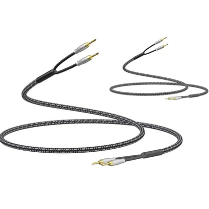 Preffair Speaker Cables 13AWG/2.5mm² HiFi Silver Plated Copper Wires with 8 BFA Style Gold Plated Banana Plugs for Amplifier, A/V Systems Theater,1 Pair (White-Black, 10 feet) - color: Silver, size: 10 feet