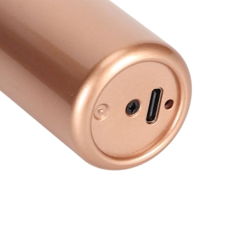 2.4G Wireless Microphone, ABS 15M Long Distance Transmission Whistling Suppression DSP Noise Reduction Chip 6.35mm 3.5mm Adapters Microphone for Outdoor Speaker (1 to 2) - size: 1 to 2