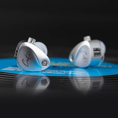 KZ Castor in Ear Monitor Headphones, HiFi Harmen Wired Earphone Sound Tunable Noise Isolating IEMs, Dual-Dynamic Driver Wired Earbuds, 2PIN-C Detachable Cable for Singers Musicians - color: Silver, style: no Mic