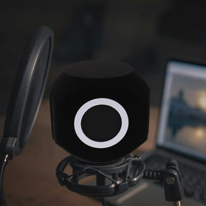LABRIMP Professional Microphone Wind Shield Isolation Ball with Acoustic Foam for Comprehensive Noise Reduction and Allround Isolation, Black Plastic and Sponge Material, for Voiceover