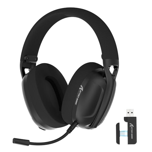 ZIYOU LANG L80 Ultralight Over Ear Tri Mode Wireless Gaming Headset-Black | 2.4Ghz USB C and A Dongle/Bluetooth 5.3/3.5mm Wired,Detachable Mic,Stereo Sound,600mAh Battery for PC Win Mac PS4 PS5 Switch - color: Black, size: Wired+BT+2.4Ghz