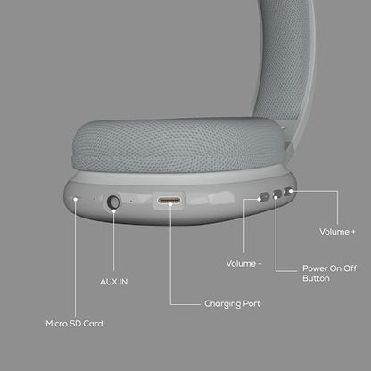 Gabba Goods Wireless Over Ear Bluetooth Headphones with Microphone - Wireless Headset -Noise Reduction - Bluetooth, Wired,Built in Micro SD for Travel, Home, Work TV,PC,Gaming,Cellphone (Silver) - color: Silver