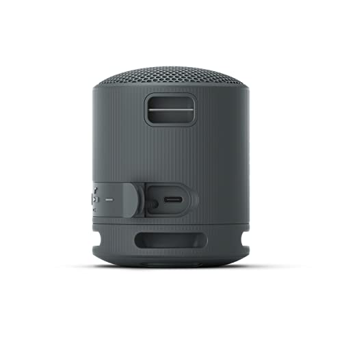 Sony SRS-XB100 Wireless Bluetooth Portable Lightweight Speaker, Black | 16 Hr Battery, Super-Compact Travel Speaker, IP67 Waterproof & Dustproof Shower Speaker, Versatile Strap, Hands-free Calling - color: Black