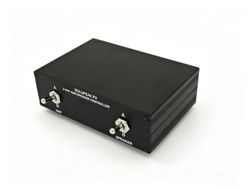 P3 2-Way Audio AMP Amplifier Speaker Selector Switch Switcher Box | Use 2 PCS 10A High quality 4PDT 12PIN Toggle switch, you can quickly Sw A/B AMP and A/B SPK avoiding frequent cable swapping - color: 2-IN-2-OUT