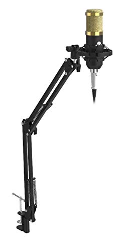 iDANCE Adjustable Suspension Boom Arm Stand, Steel Mic Boom Arm Desk Mount with Clamp and Integrated Shock Mount for Studio, Podcast, Streaming, Boom Arm Microphone Holder (Mic Not Included)