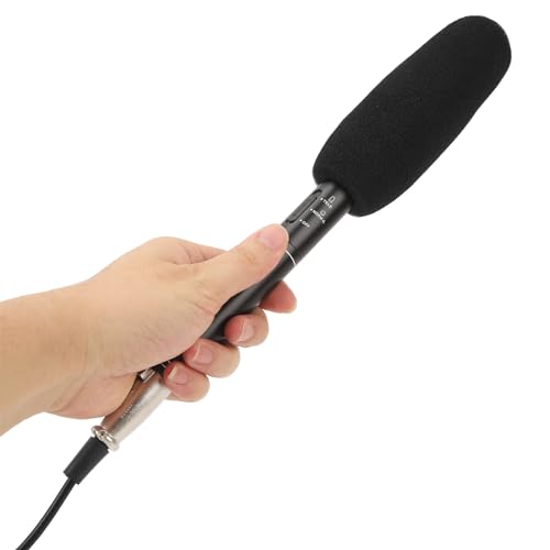 Microphone, Professional XLR Condenser Microphone with Dual Pickup Modes for DSLR Cameras